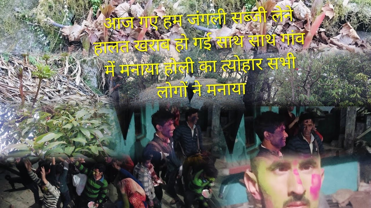 आज गए हम जंगली सब्जी लेने हालत खराब हो गई साथ साथ गांव में मनाया होली का त्योहार सभी लोगों ने मनाया