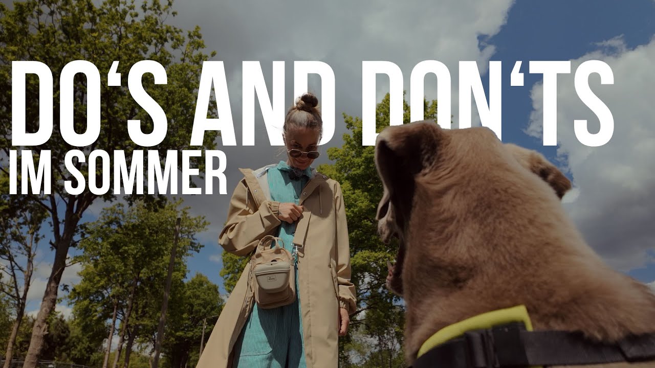 Hunde im Sommer: Die wichtigsten DOS & DON'TS für heiße Tage!