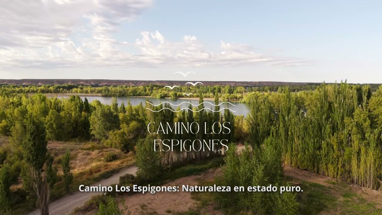 Camino Los Espigones 4k. Plottier, Neuquén, Argentina.