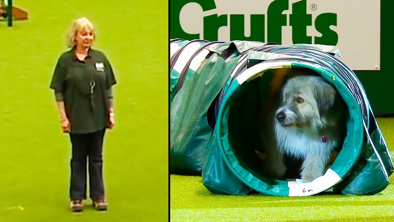 Ozzy Man Reviews: Kratu - The Goodest Boy Ever