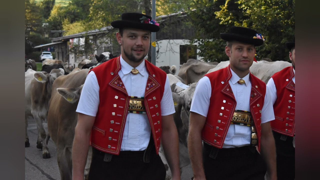 Viehschau Oberhelfenschwil '23
