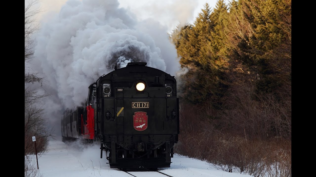 【C11 171】釧網本線 SL冬の湿原号 / Kushiro Steam Locomotive Train in Winter