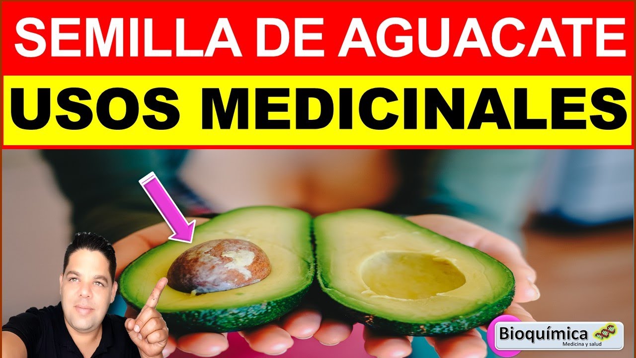 TÉ DE SEMILLA DE AGUACATE - USOS MEDICINALES