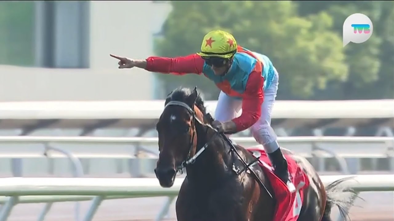 2024 馬會短途錦標 Jockey Club Sprint G2 - 嘉應高昇 (Ka Ying Rising) [J062] - 潘頓 (Z.Purton) (破沙田1200米記錄時間贏馬)