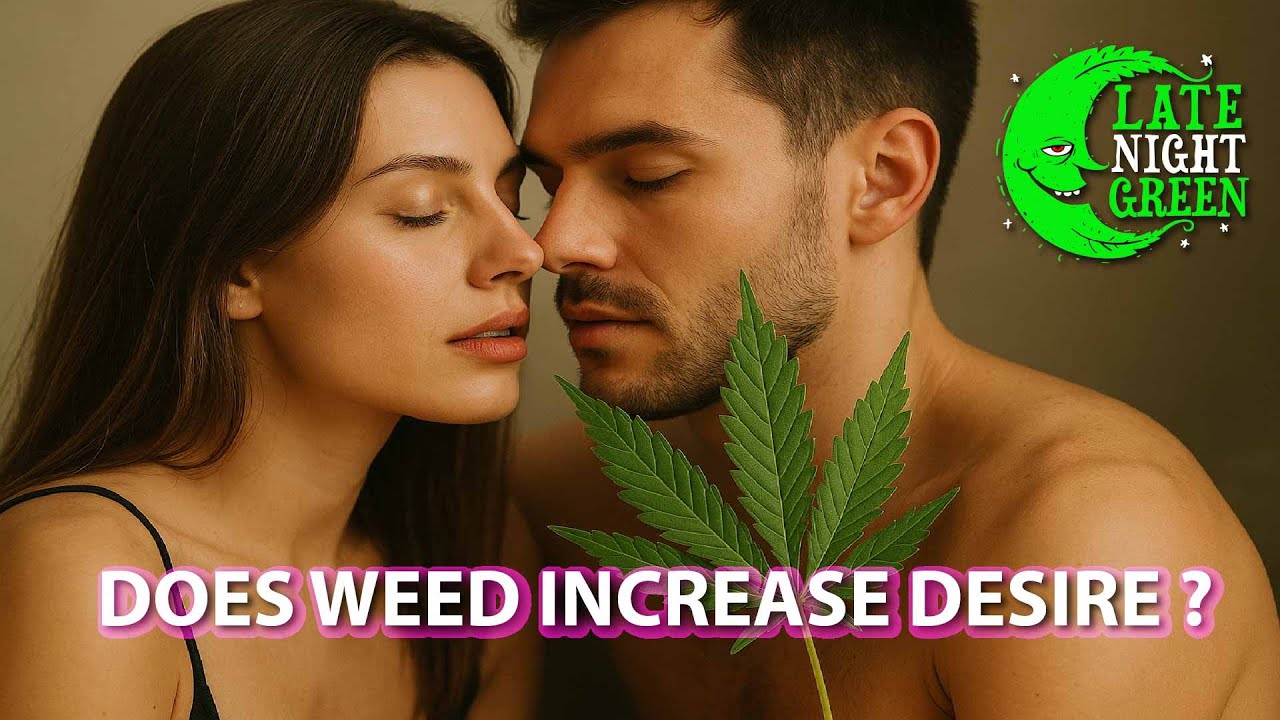 🧠💨 CANNABIS & SEX: What the New Research Really Says 😏