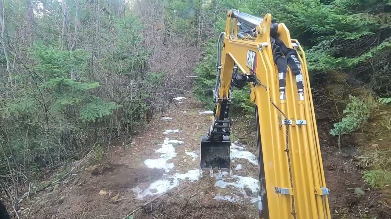 Cleaning logging road brush with 304 Cat  and getting the Vevor fuel transfer thank.
