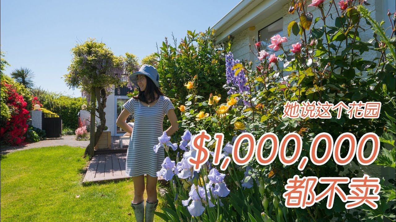她说100万都不会卖这个花园（新西兰 Harold Vlog 512）