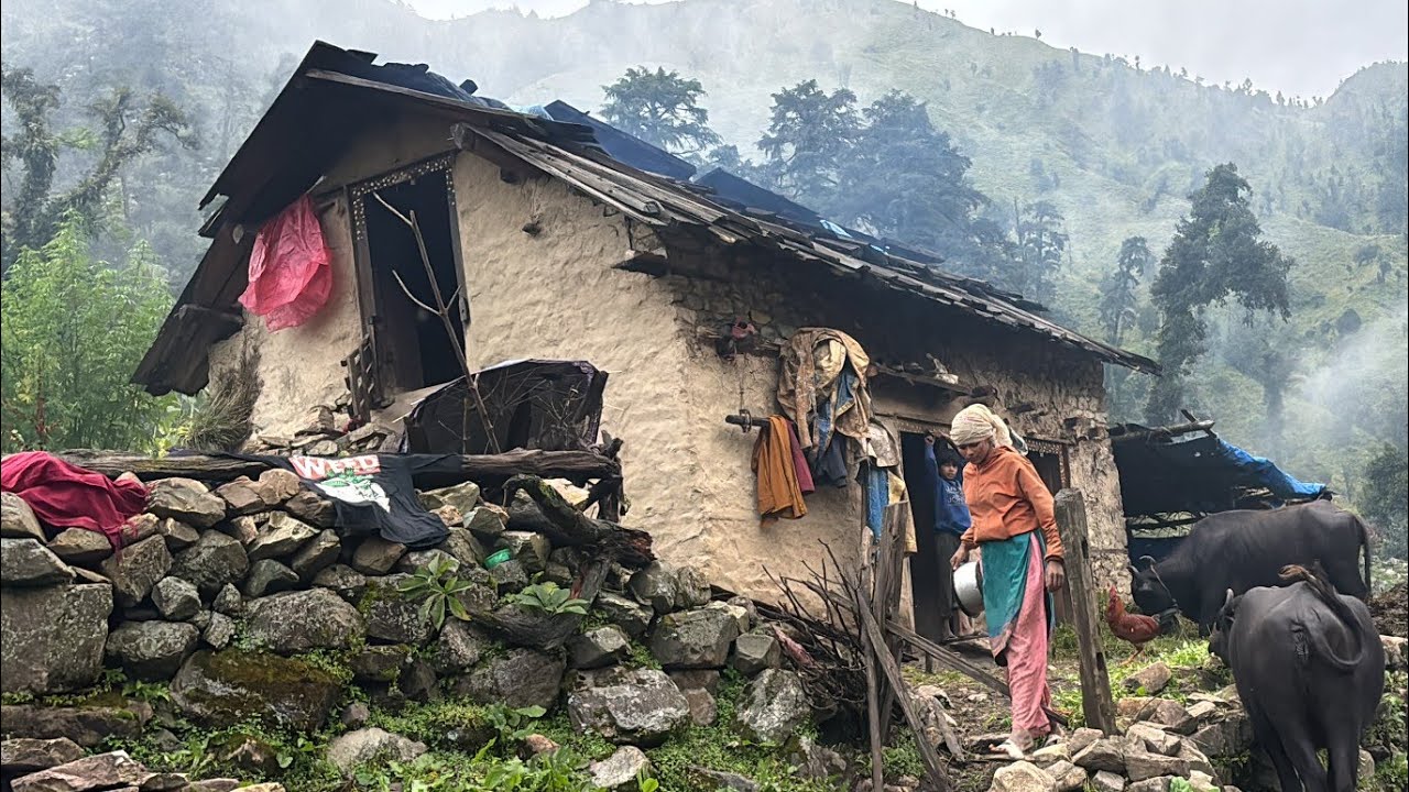 This is Himalayan Rainey Day Shepherd Life Nepal || Peaceful and Relaxing Mountain Village Life || 