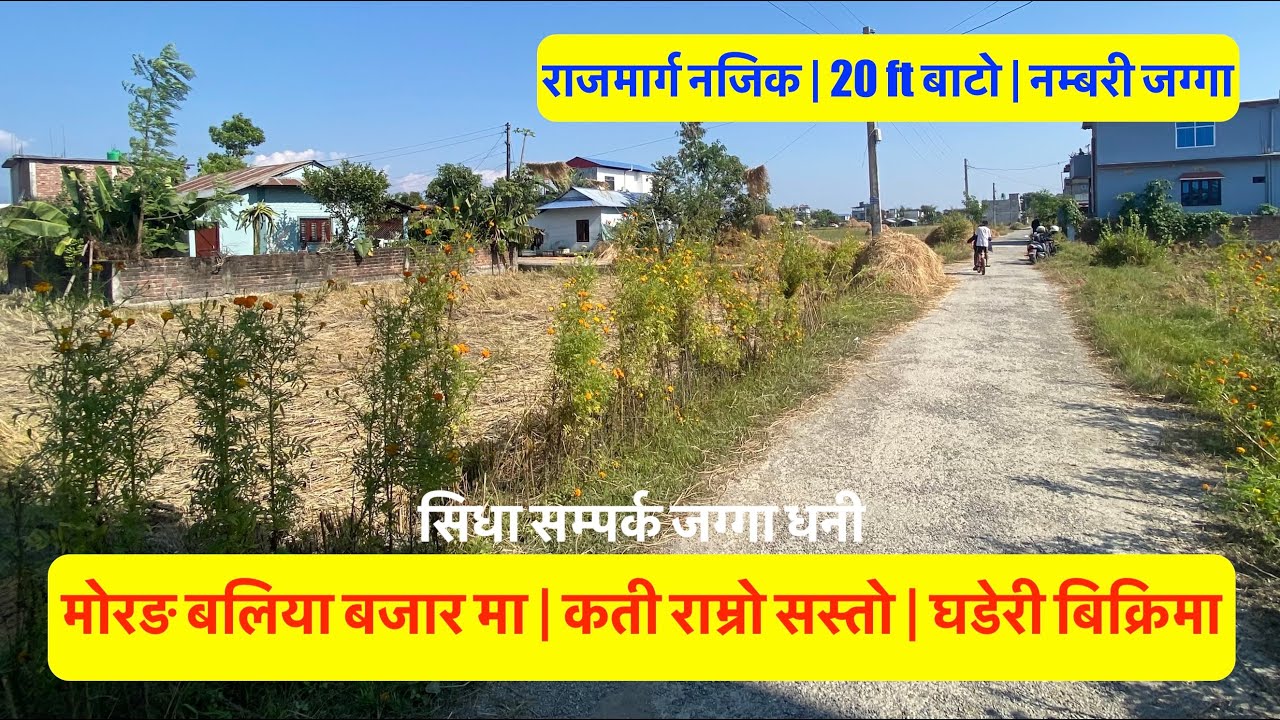 Morang Baliya | Cheap | Land For Sale at Baliya Morang Nepal | Hamrobazar Ghar Jagga | bhubanthapa