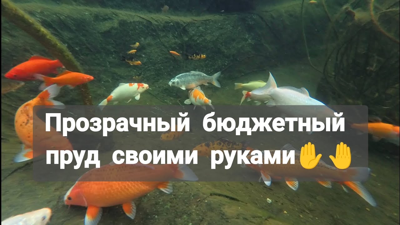 Бюджетный пруд из простой плëнки. (Пруд первый)