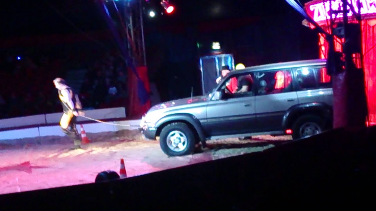 Hercules - Zippos Circus