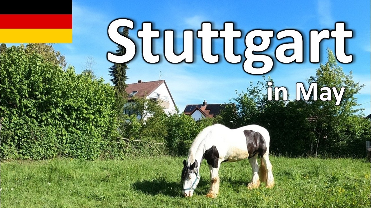 【Stuttgart in May】🇩🇪Green Early Summer Walk | Walking Tour