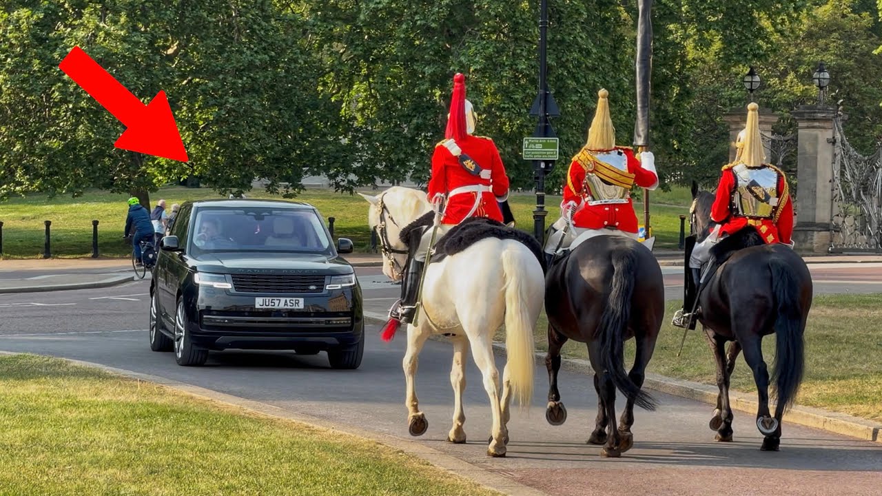 Motorist Required to Reverse After Blocking Household Cavalry Route