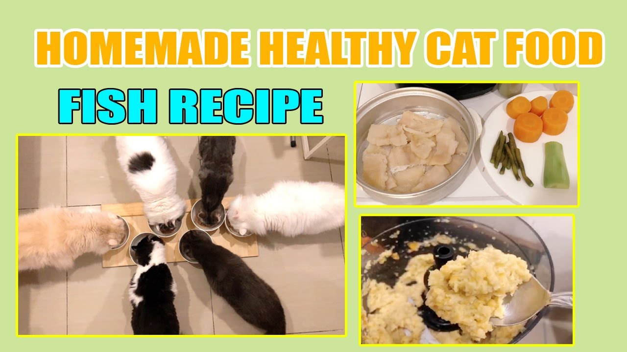 HOMEMADE CAT FOOD II FISH RECIPE II LOTS OF BENEFITS II SHOUTOUT II CATROPA