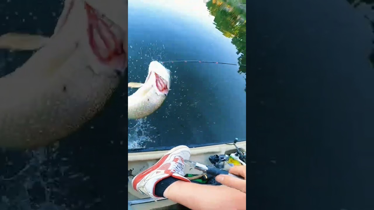 this pike was out for blood!!!! 