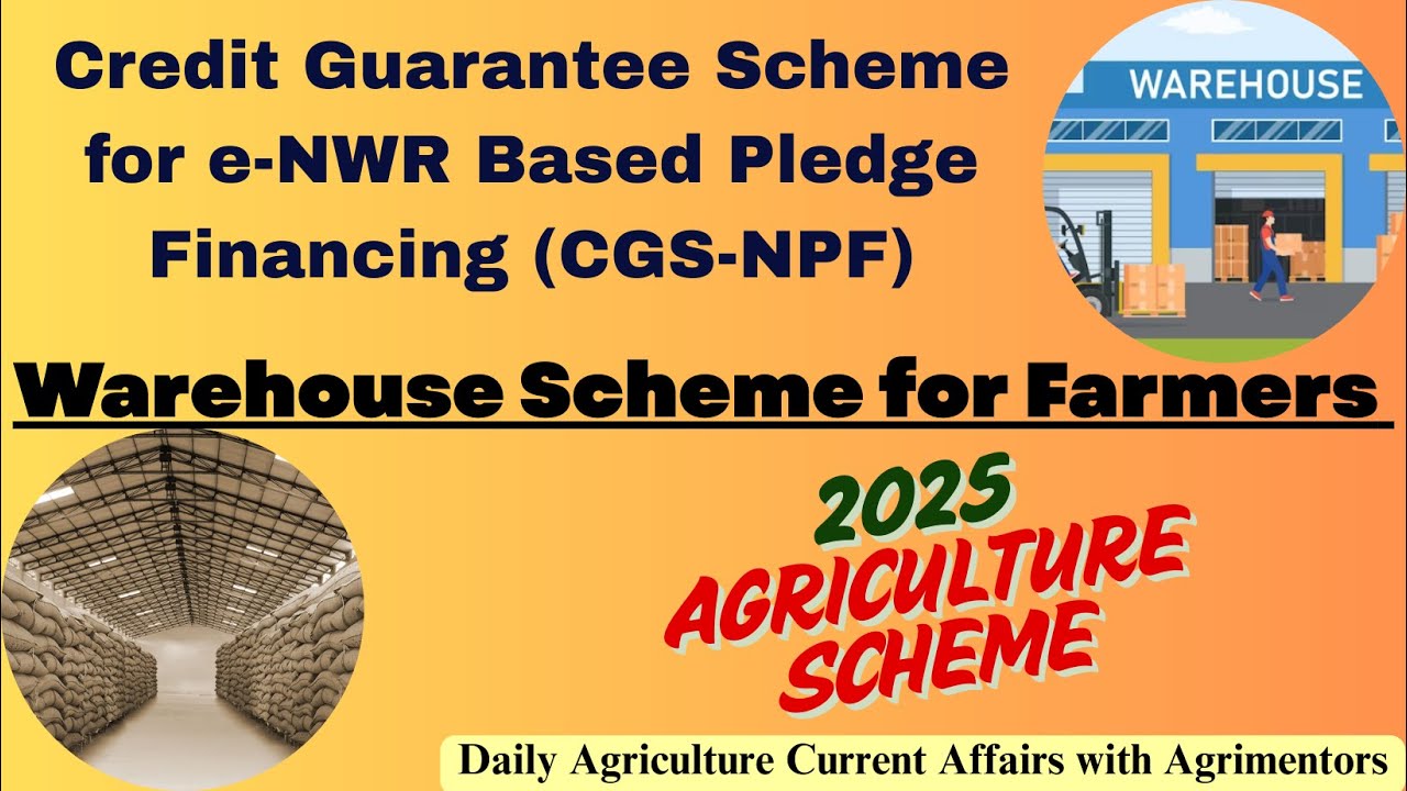 New Credit Guarantee Scheme for e-NWR Pledge Loans | Govt. Support for Farmers & MSMEs!