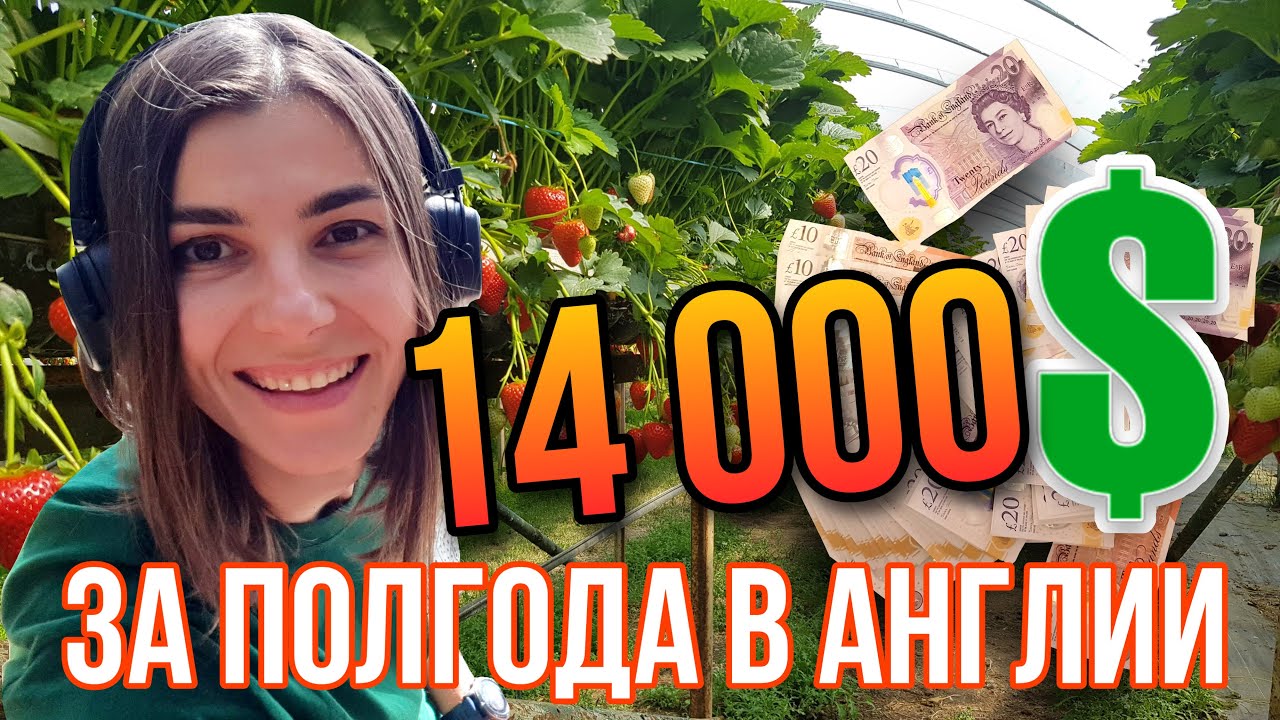 Сколько ДЕНЕГ я заработала НА ФЕРМЕ в АНГЛИИ? Мой итог за 6 месяцев!!! Кто ждал - держите! 🦇