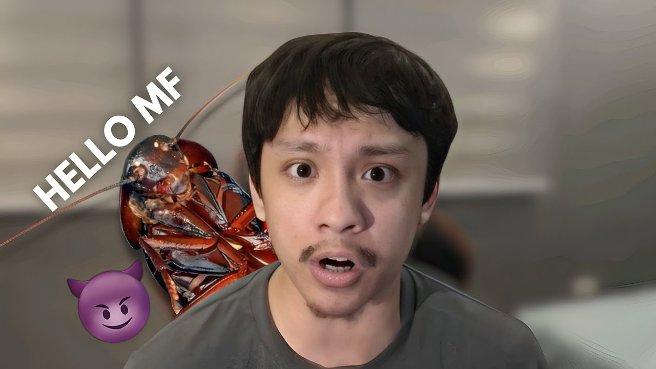 I Was Terrorized by a Cockroach