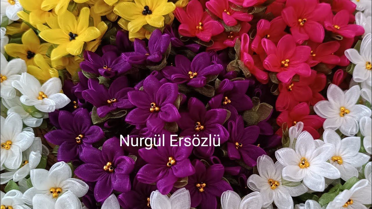 Papatya modeli