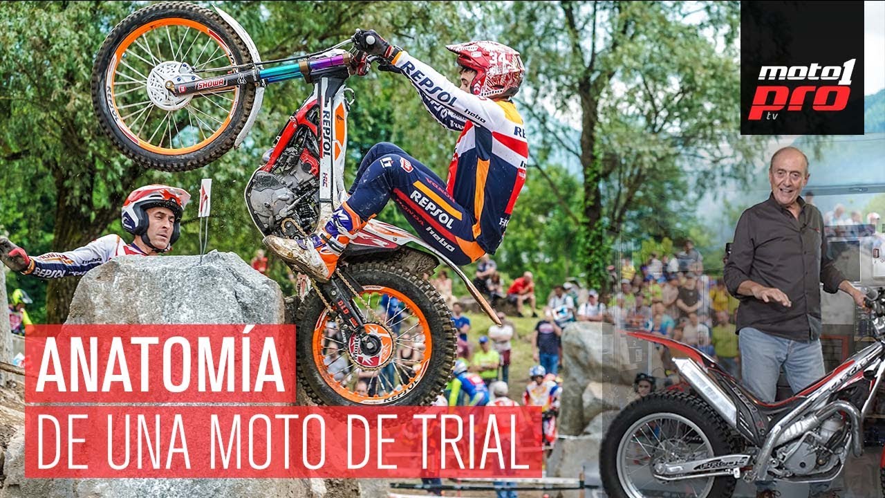 Anatomía de una MOTO de TRIAL