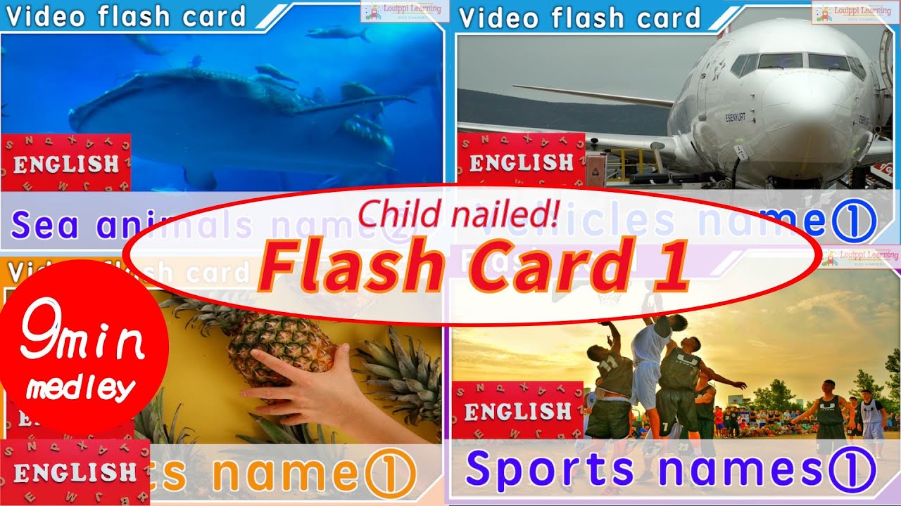 [English] フラッシュカード 1 動く 動画版 連続メドレー 赤ちゃん 幼児向け 単語 0歳〜3歳から始める知育・幼児教育 Flash card medley for kids in Eng