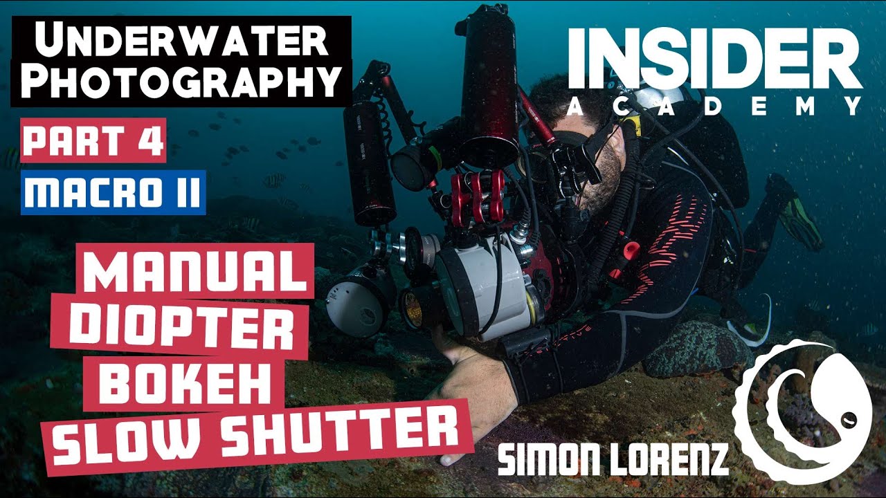 Underwater Photography - Part 4 - Macro Photography II
