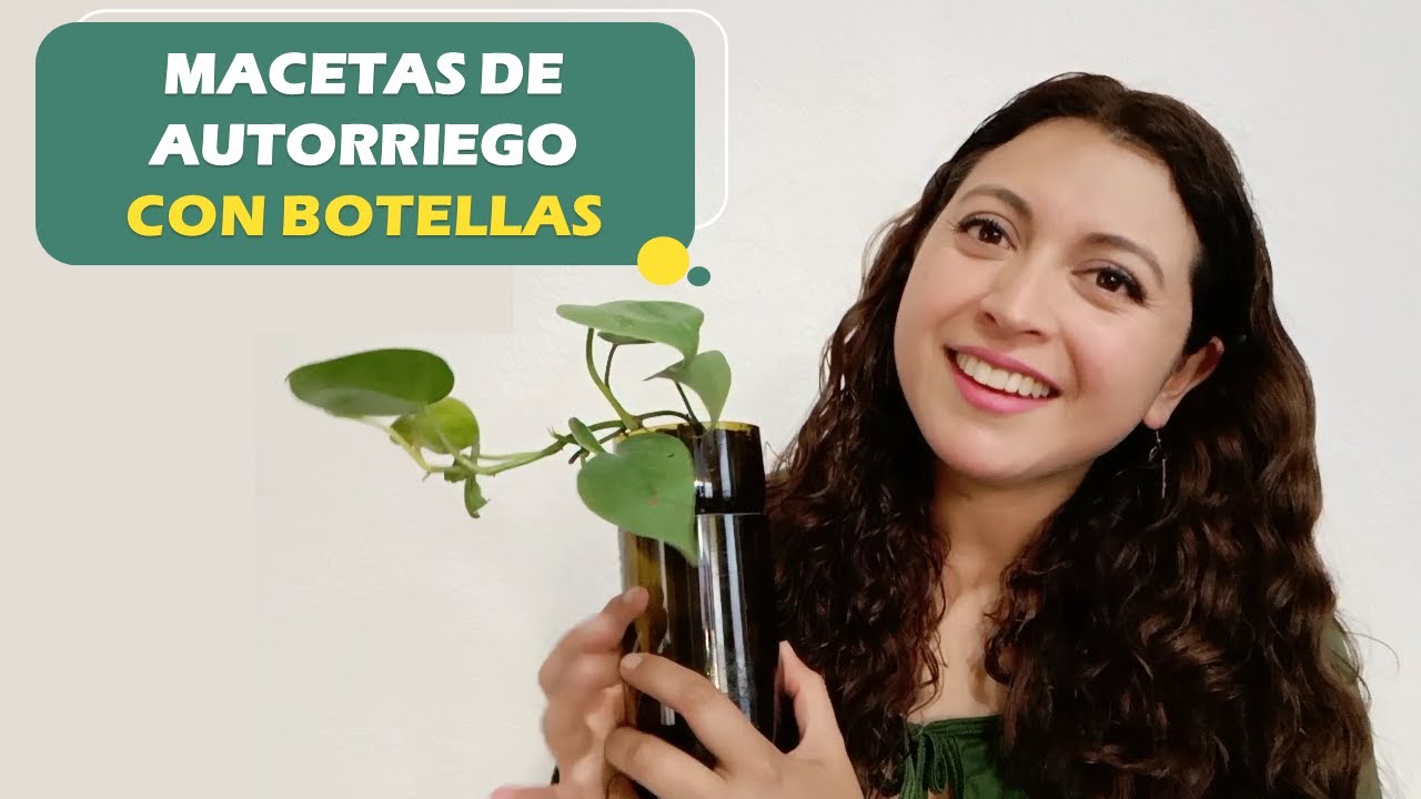 Cómo hacer una maceta de autorriego para tener plantas en botellas de vidrio sin tener que regar