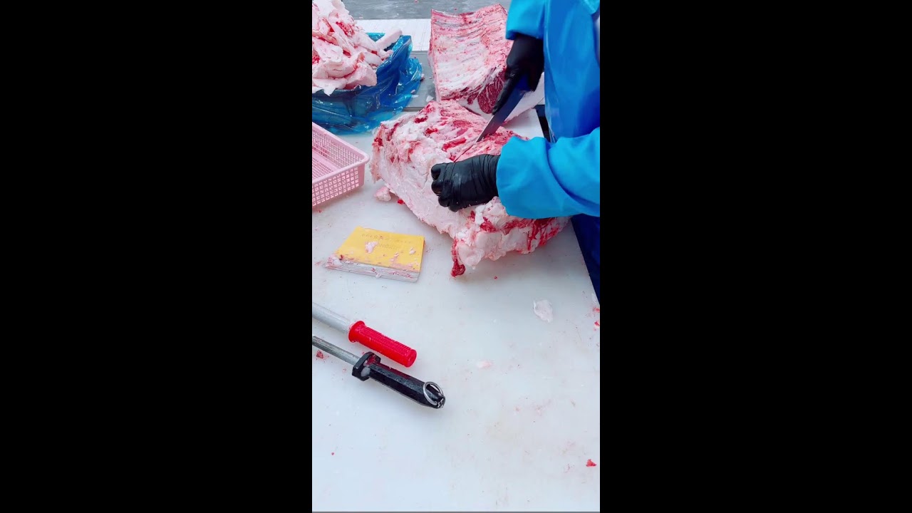 LIVE 🔴Deeply Satisfying Beef Slicing ASMR | No Talking