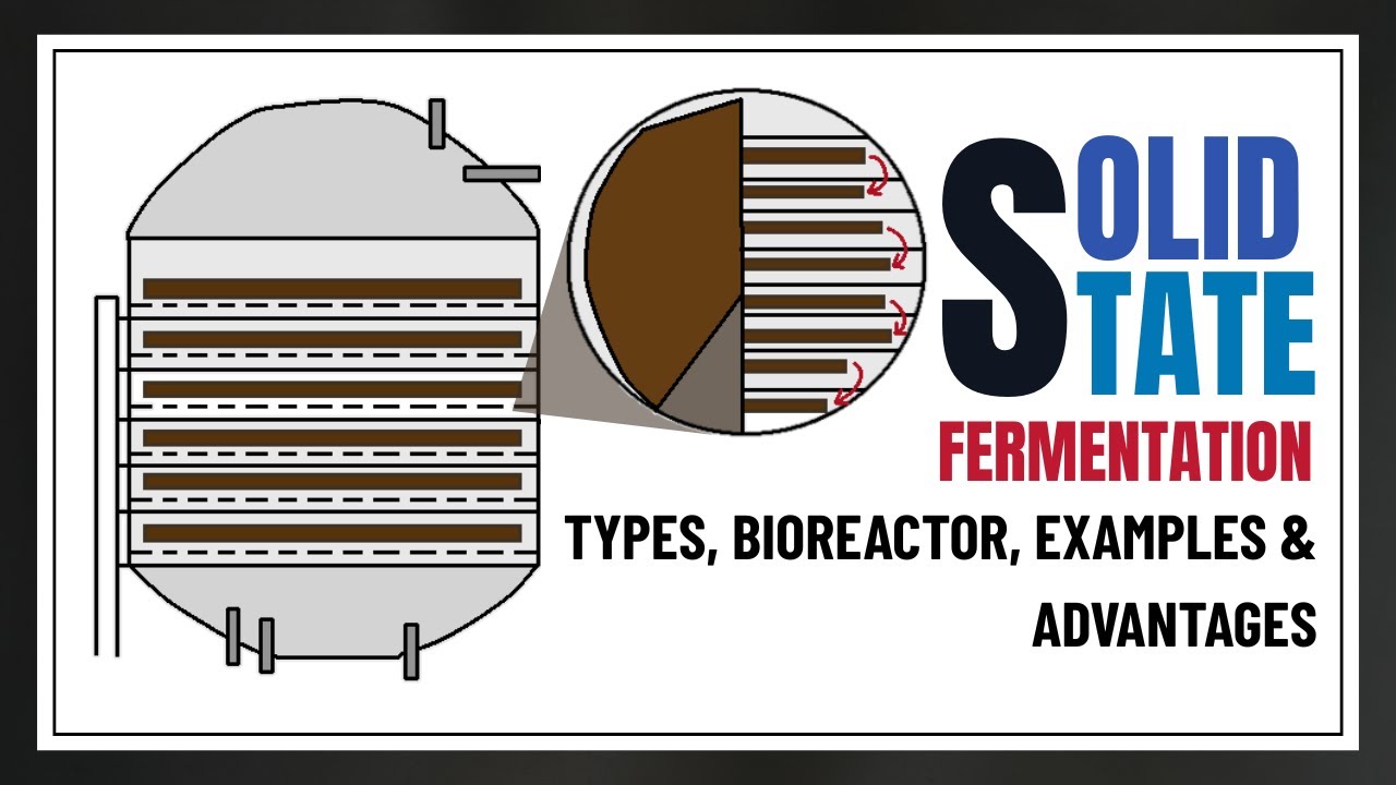 Solid State Fermentation Explained | Types, Bioreactor, Examples & Advantages | Biotechnology Lecs