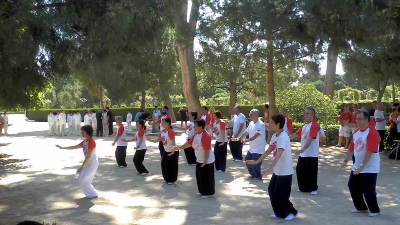 8 estilo Yang de Tai Chi en Parque de el Retiro