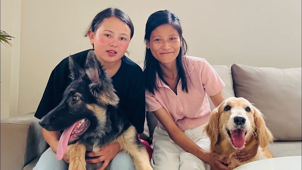 Meeting my Sisterscat Kakarvitta Jhapa 🏡 Priyasheetalvlog