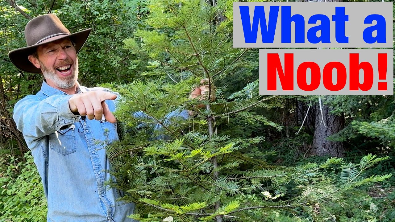 Don't Let People Catch You Doing This In The Woods!