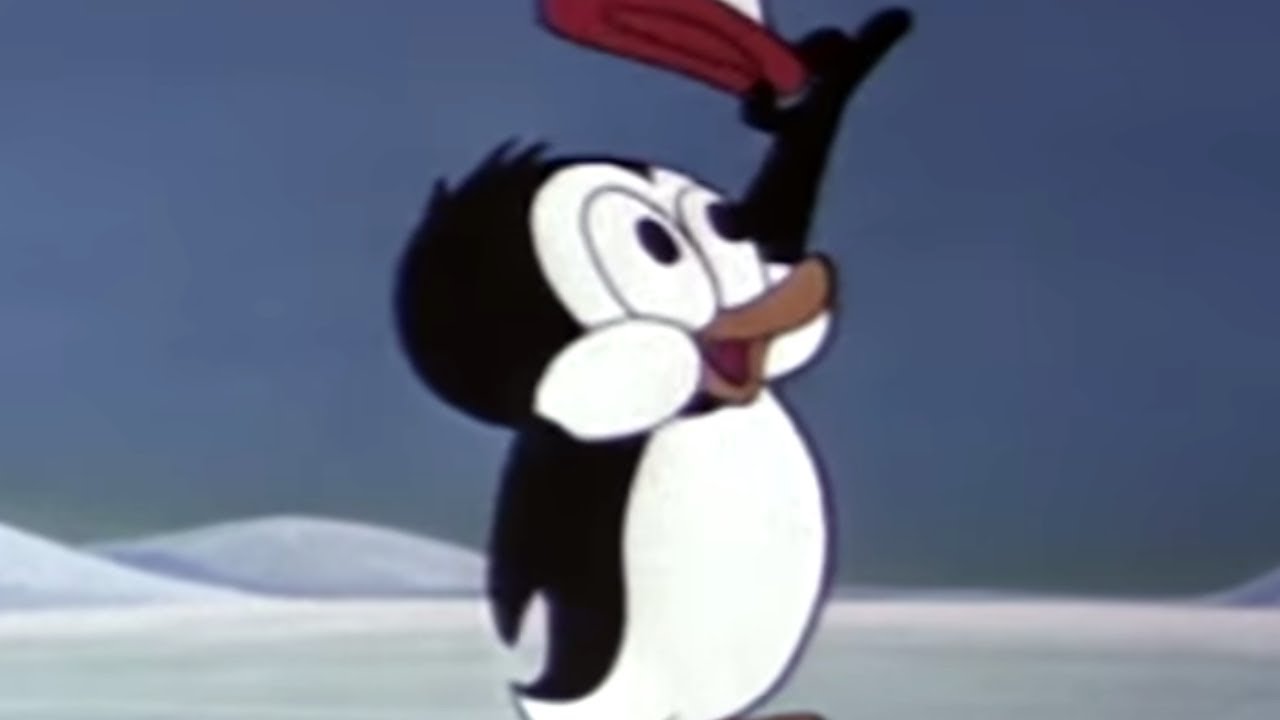 Picolino em Português 🐧  Quarto de hotel 🐧Episódios completos | Desenhos Animados