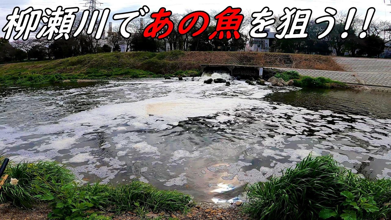 まだ釣った事ない魚を求めて！！去年のリベンジ！！