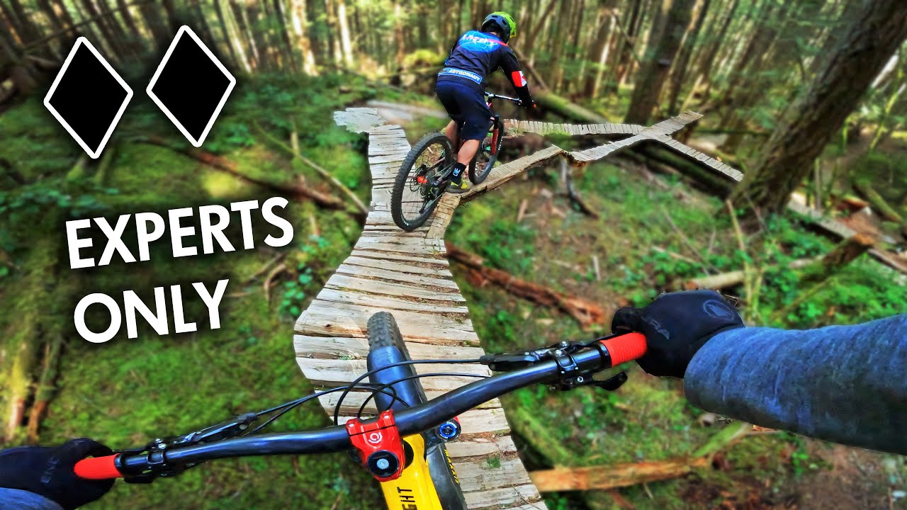 Every Mountain Bike Trail Should Be Like This