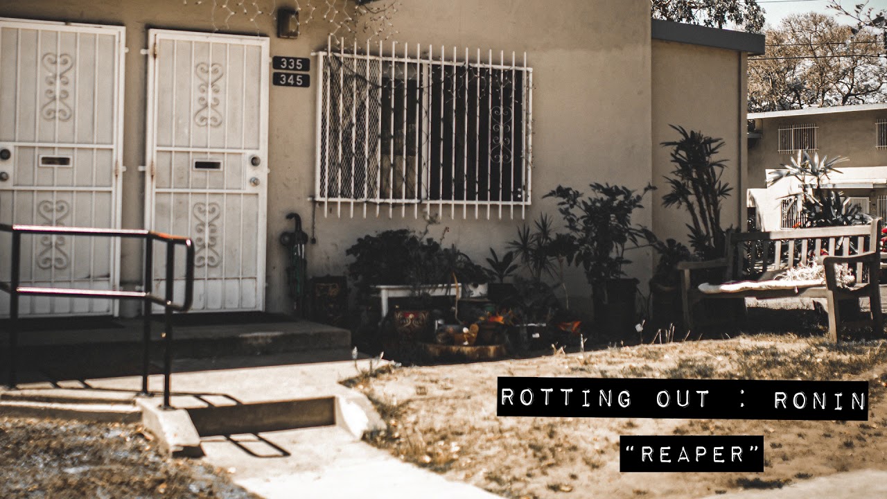 Rotting Out 