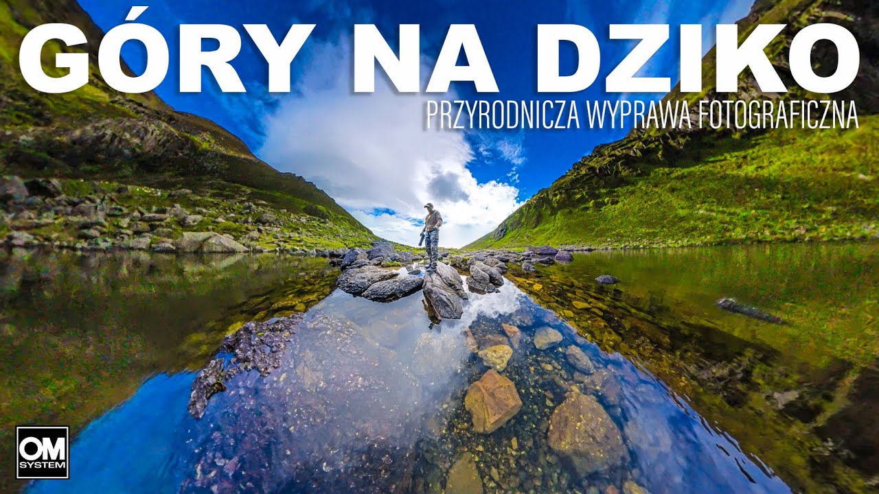 GÓRY NA DZIKO - Przyrodnicza Wyprawa Fotograficzna // OM System OM-1 // Fotografia Przyrodnicza