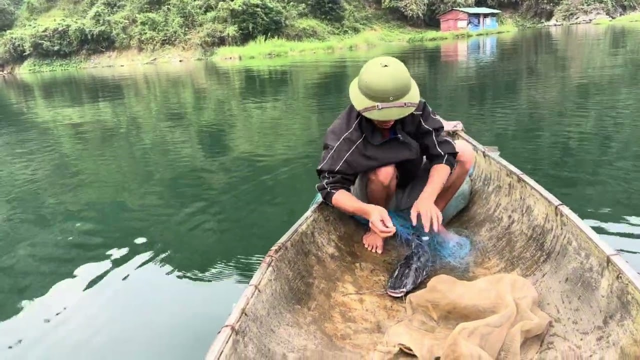 Pha lặn Cá quá hồi hộp ￼￼￼