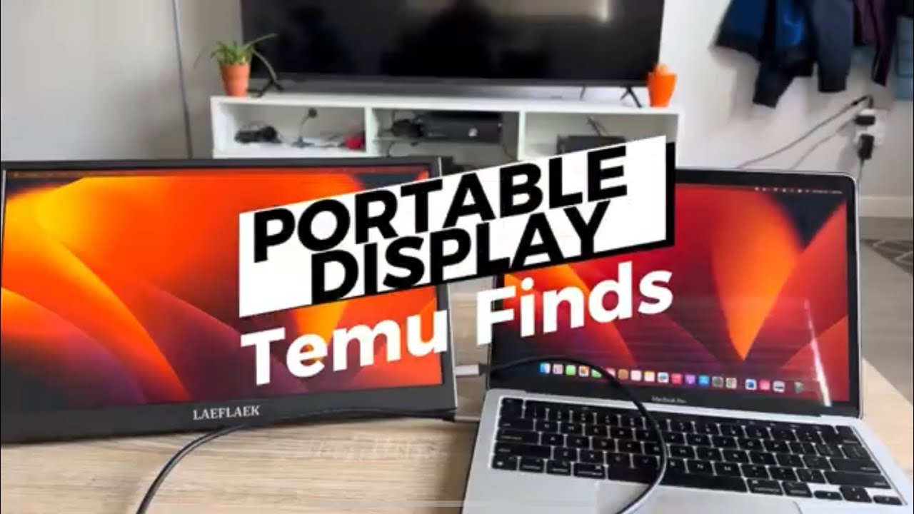 Temu Finds: Affordable Portable Display for Increased Productivity! 