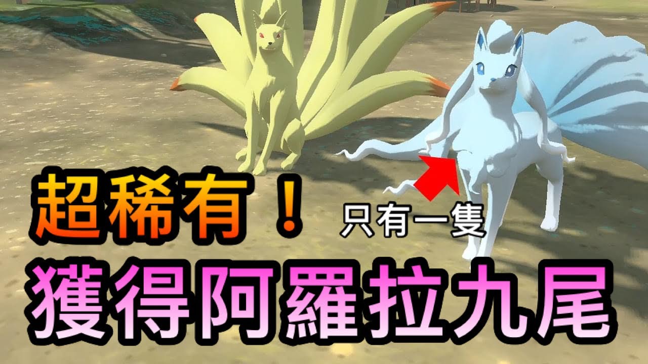【寶可夢傳說 阿爾宙斯】超稀有！獲得阿羅拉形態九尾的方法！