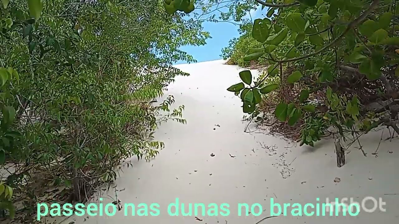 Passeio vê como estavam as lagoas no bracinho 