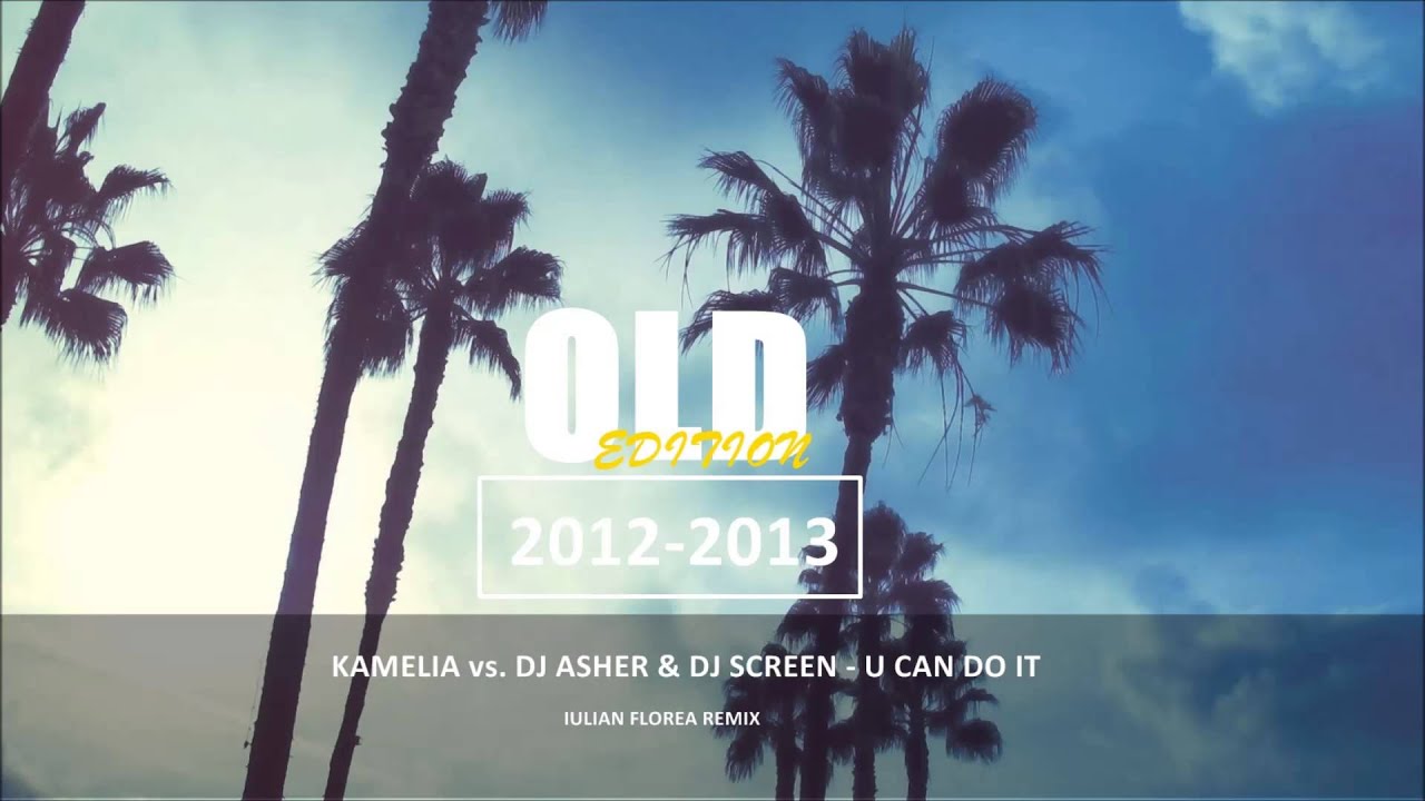 Kamelia vs. Dj Asher & Screen - You Can Do It (Iulian Florea remix)
