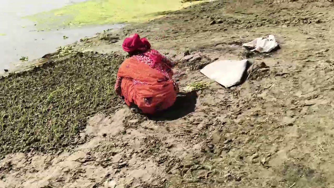 यमुना जी में  कद्दू , प्याज , ककड़ी तरबूज के छोटे पौधे देखे और बाकी ब्लॉग में यमुना जी 