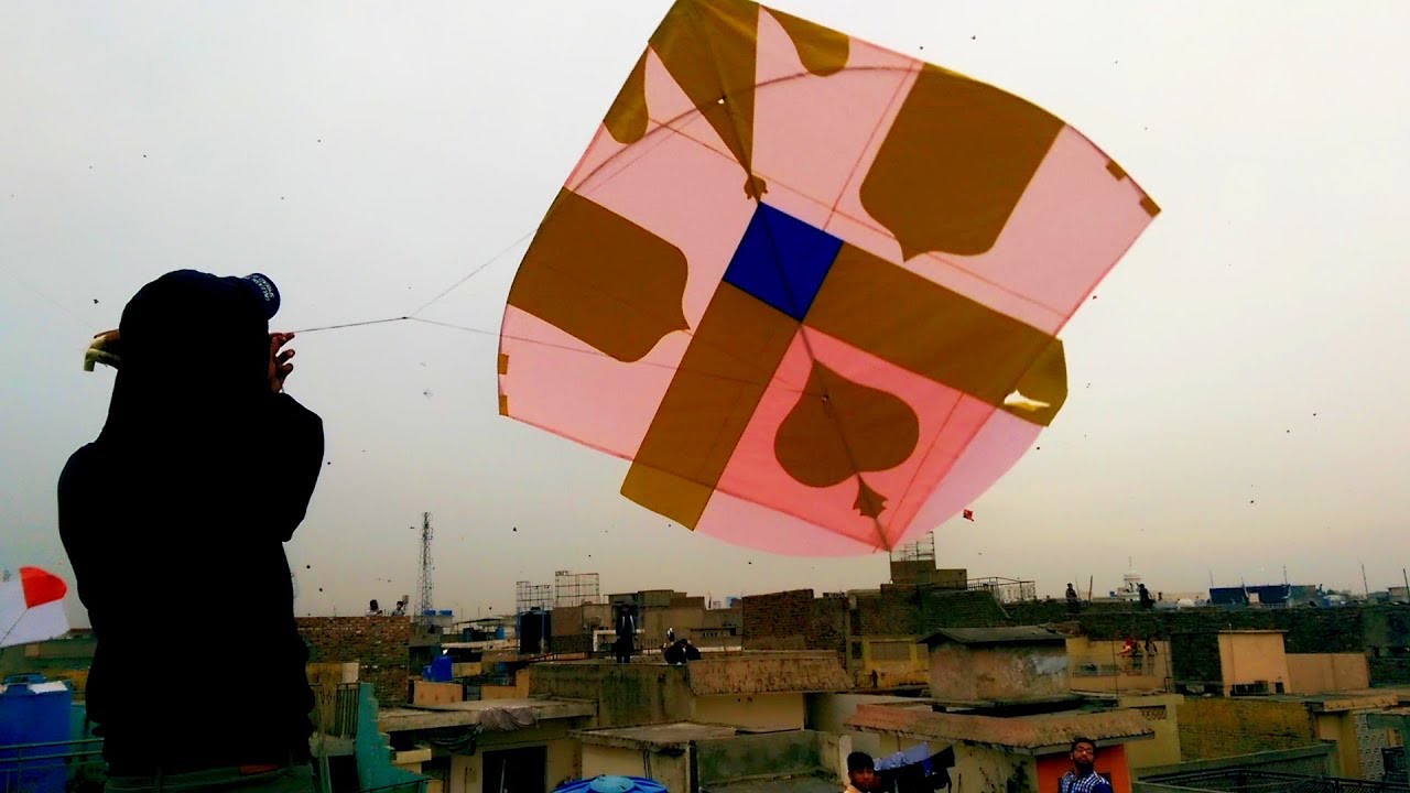 Kite Flying 6 Tava - Basant Festival