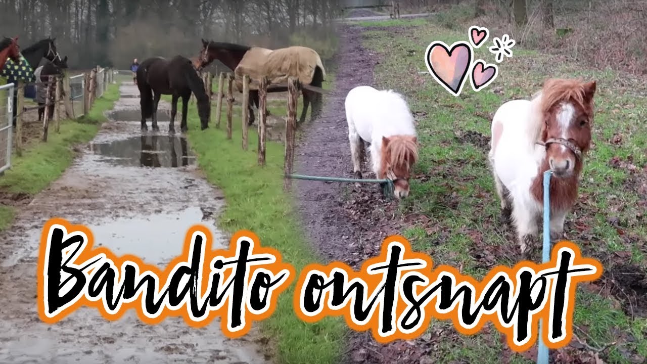 VLOG#34 Kale baby's & Bandito ontsnapt!