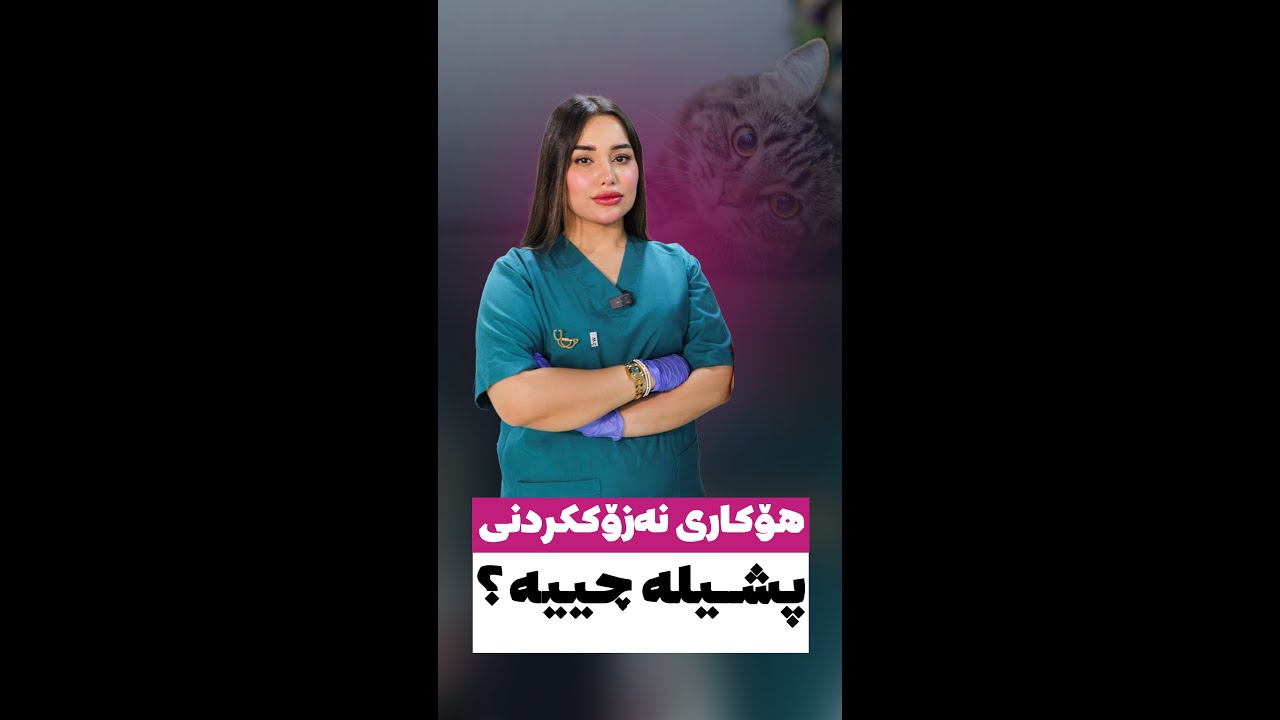 هۆکاری نەزۆککردنی پشیلە چییە؟