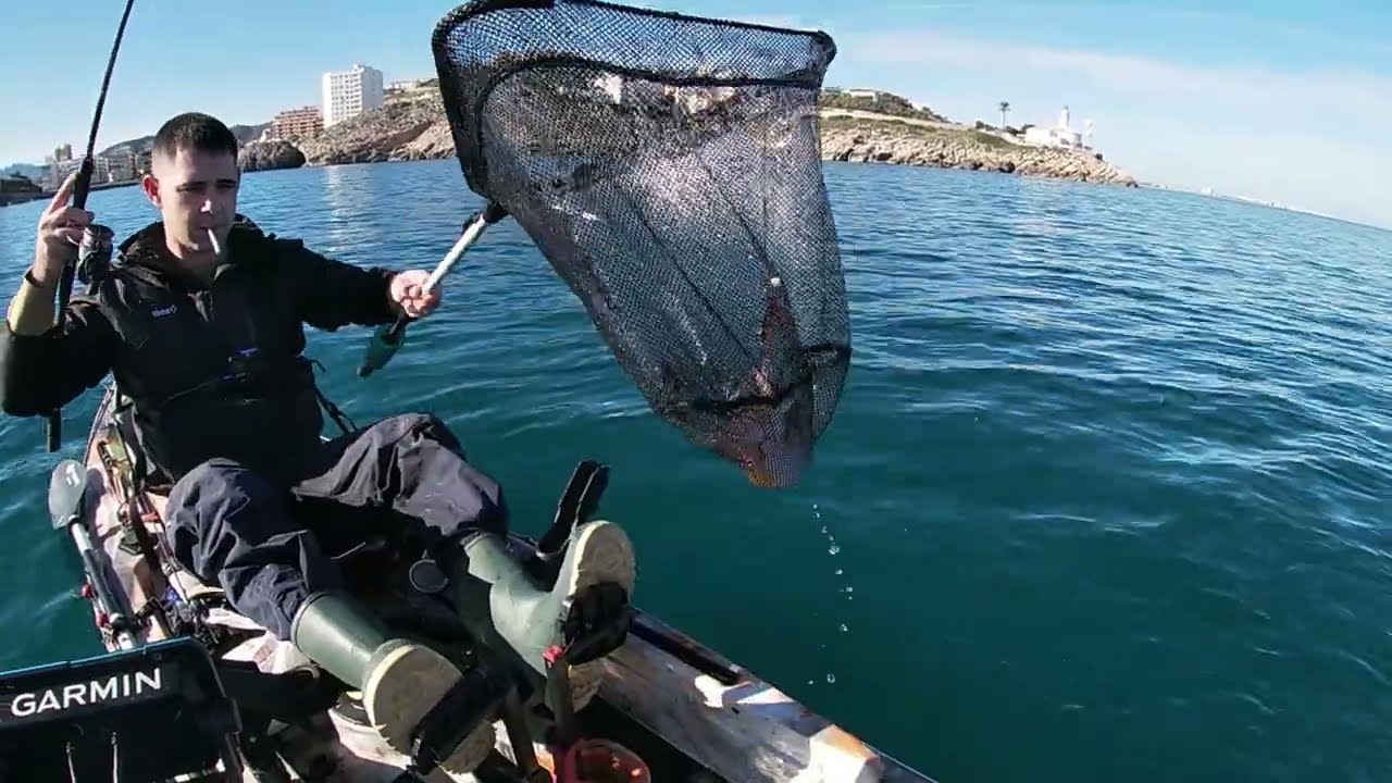 🦑𝗣𝗘𝗦𝗖𝗔 𝘿𝙀 𝙎𝙀𝙋𝙄𝘼𝙎🦑 𝗡𝗢 𝗣𝗔𝗥𝗔𝗡 𝗗𝗘 𝗣𝗜𝗖𝗔𝗥 .🎣