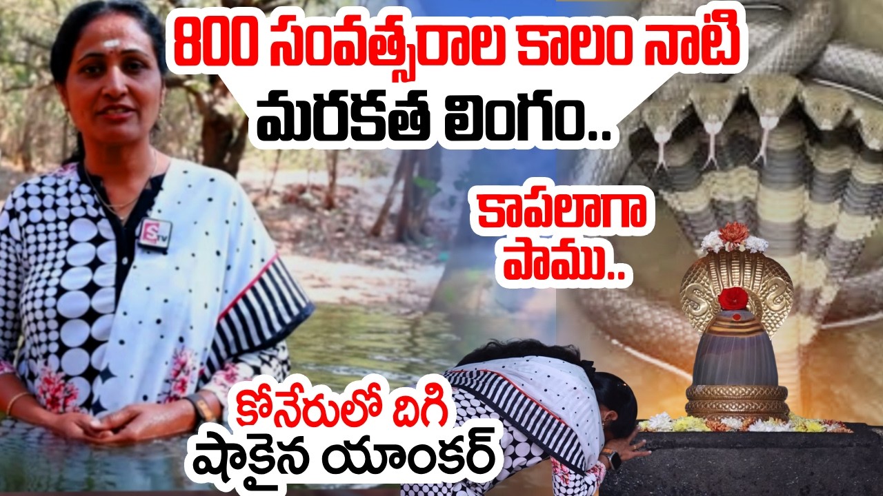 800 Years Old Marakata Lingam | Damagundam Ramalingeshwara Swamy Temple Speciality |SumanTV Nirupama
