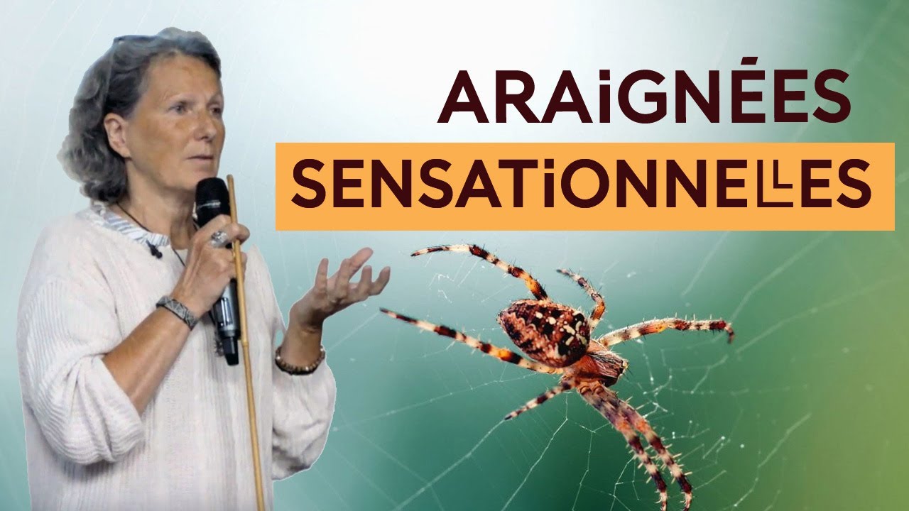 Plongée dans l'univers sensoriel des araignées - La science expliquée aux 8-12 ans