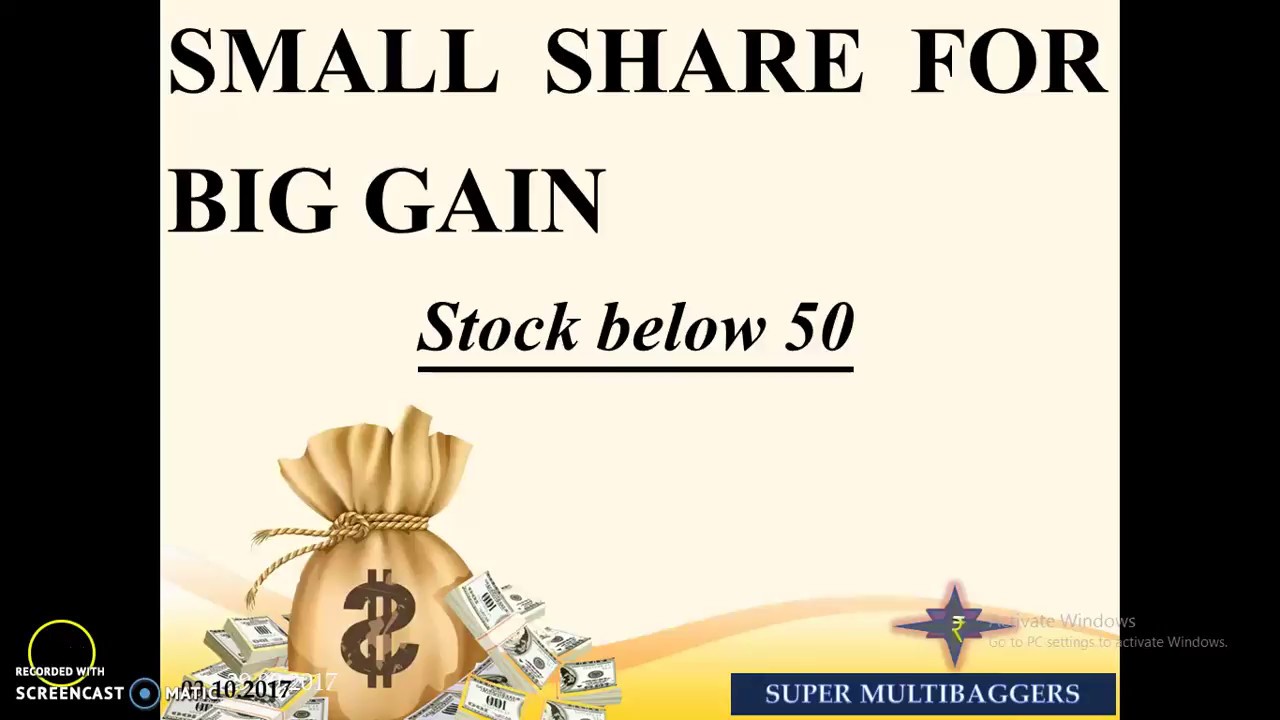 Multibagger stock - small share for big return